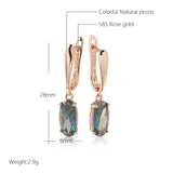 Stéphane Rainbow Zircon Drop Earring